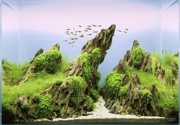 Grote foto dragon stone 15 25cm aquarium decoratie stenen dieren en toebehoren vissenkommen