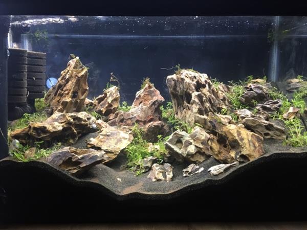Grote foto dragon stone 15 25cm aquarium decoratie stenen dieren en toebehoren vissenkommen