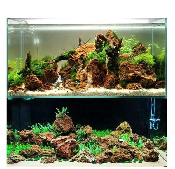 Grote foto maple leaf stone 10 20cm aquarium decoratie stenen dieren en toebehoren vissenkommen
