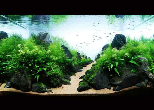 Grote foto landscape stone 10 15cm aquarium decoratie stenen dieren en toebehoren vissenkommen
