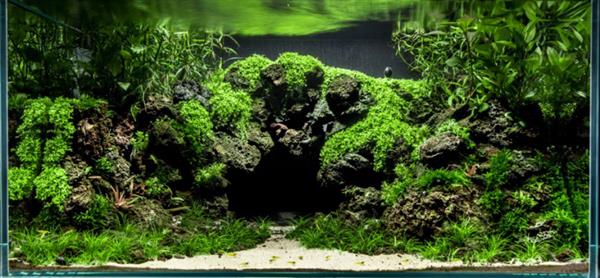 Grote foto volcanic rock 20 30cm aquarium decoratie stenen dieren en toebehoren vissenkommen