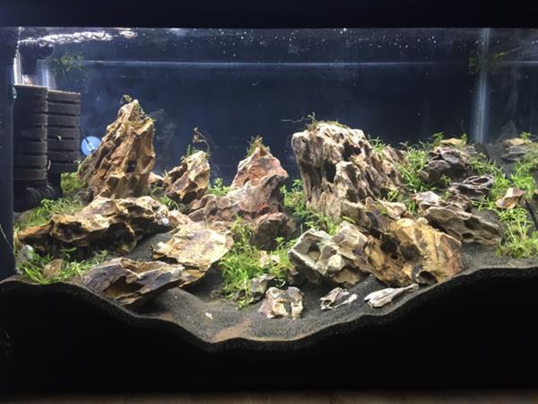 Grote foto dragon stone 30 50cm aquarium decoratie stenen dieren en toebehoren vissenkommen