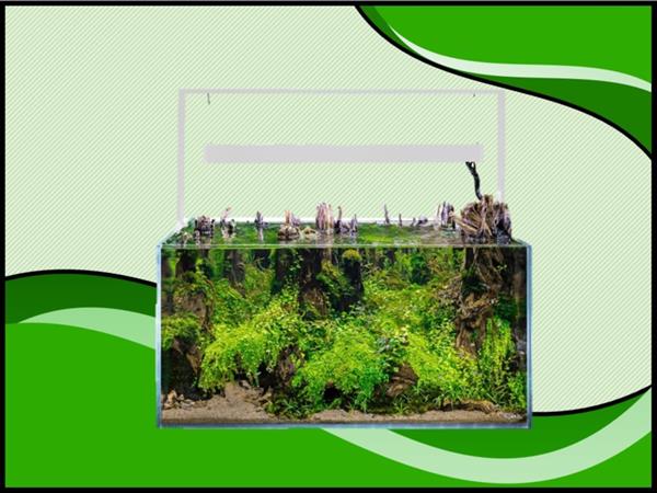 Grote foto osaka ultrascape wit 90x60x45cm aquarium 4x led verlichting dieren en toebehoren vissenkommen