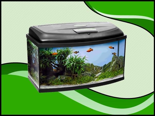 Grote foto classic box 100 panorama aquarium dieren en toebehoren vissenkommen