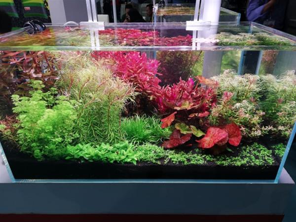 Grote foto osaka compleet co2 systeem tot 400 liter incl. magneetventiel dieren en toebehoren vissenkommen