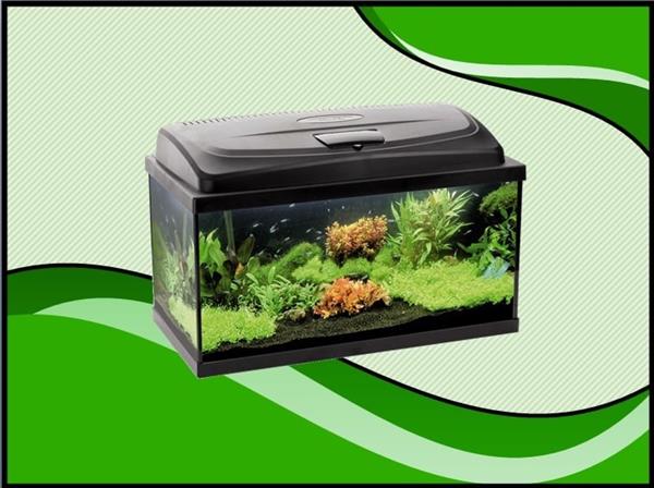 Grote foto aqua4 start 60 recht aquarium set compleet dieren en toebehoren vissenkommen