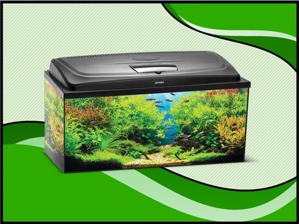 Grote foto aqua4 home 100 recht aquarium set compleet dieren en toebehoren vissenkommen