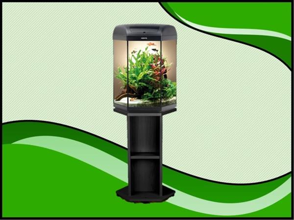 Grote foto hexa 60 aquarium set compleet inclusief meubel dieren en toebehoren vissenkommen