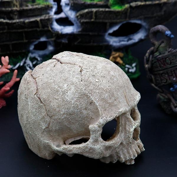 Grote foto aquarium decoratie schedel as 216 dieren en toebehoren vissenkommen