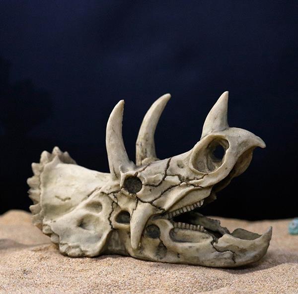 Grote foto prehistorische schedel aquarium decoratie 18 cm as 218 dieren en toebehoren vissenkommen