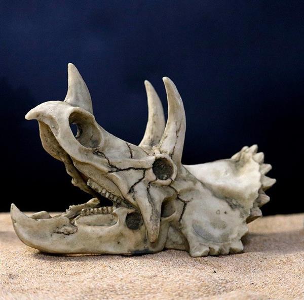Grote foto prehistorische schedel aquarium decoratie 18 cm as 218 dieren en toebehoren vissenkommen