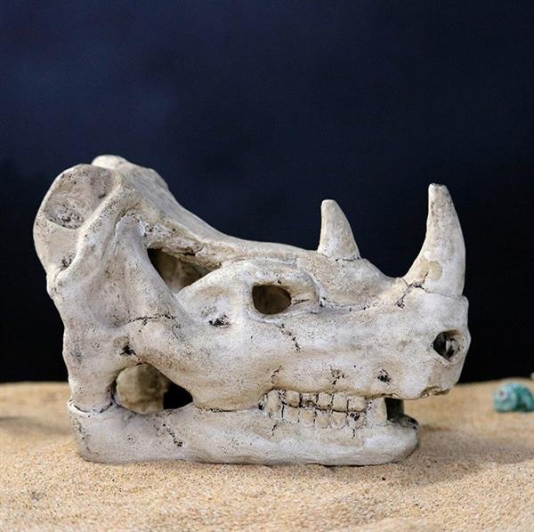 Grote foto prehistorische schedel aquarium decoratie 15cm as 219 dieren en toebehoren vissenkommen