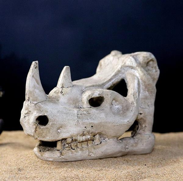 Grote foto prehistorische schedel aquarium decoratie 15cm as 219 dieren en toebehoren vissenkommen