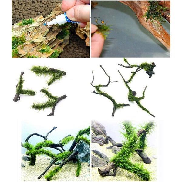 Grote foto osaka aquascape glue aquarium planten lijm 2 tubes dieren en toebehoren vissenkommen