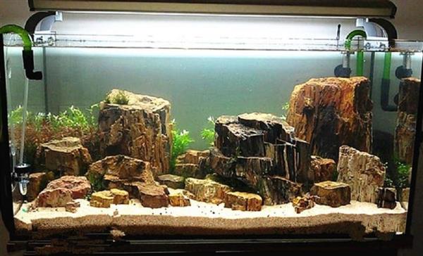 Grote foto petrified stone 10 20cm aquarium decoratie stenen dieren en toebehoren vissenkommen
