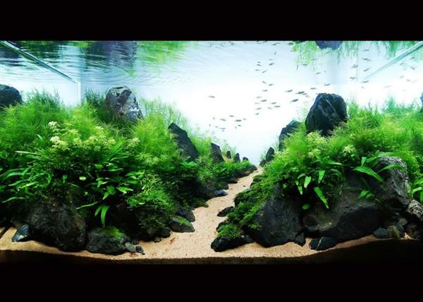 Grote foto landscape stone 10 15cm aquarium decoratie stenen dieren en toebehoren vissenkommen