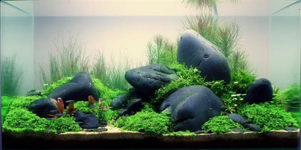 Grote foto brook stone 10 15cm aquarium decoratie stenen dieren en toebehoren vissenkommen