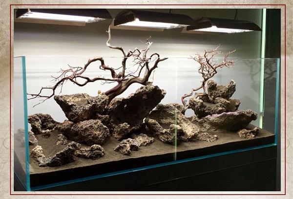 Grote foto jiang jing stone 10 20cm aquarium decoratie stenen dieren en toebehoren vissenkommen