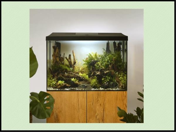 Grote foto aquael leddy 60 xl day night zwart aquarium dieren en toebehoren vissenkommen