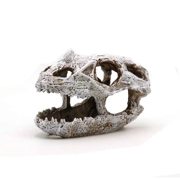 Grote foto prehistorische schedel 10 cm aquariumdecoratie as 280 dieren en toebehoren vissenkommen