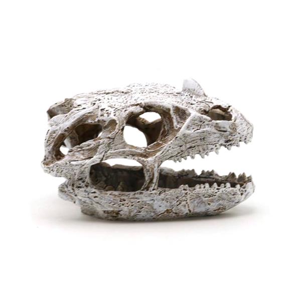 Grote foto prehistorische schedel 10 cm aquariumdecoratie as 280 dieren en toebehoren vissenkommen
