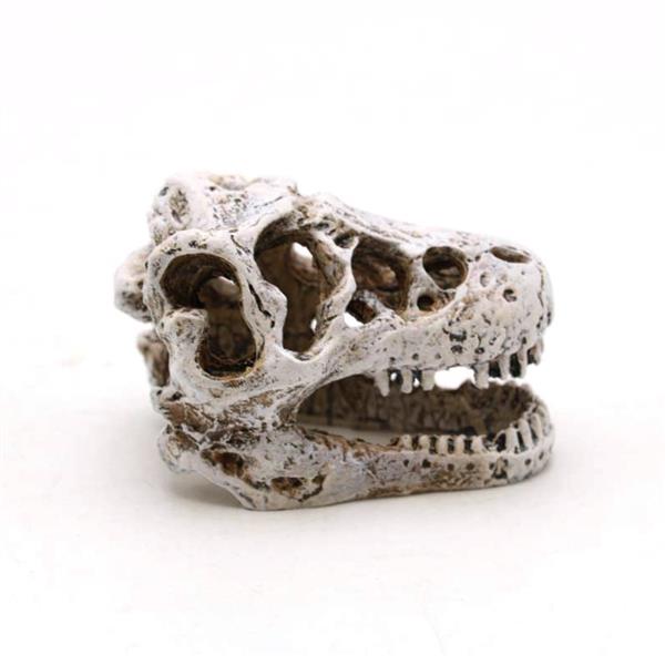 Grote foto prehistorische schedel 7cm aquariumdecoratie as 281 dieren en toebehoren vissenkommen