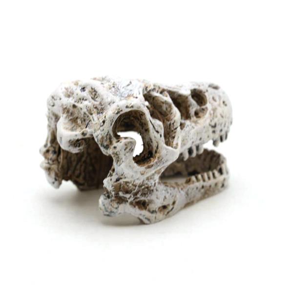 Grote foto prehistorische schedel 7cm aquariumdecoratie as 281 dieren en toebehoren vissenkommen