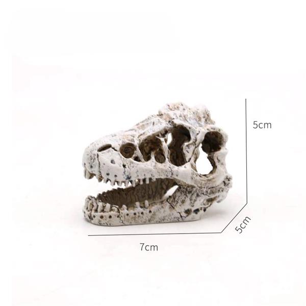 Grote foto prehistorische schedel 7cm aquariumdecoratie as 281 dieren en toebehoren vissenkommen