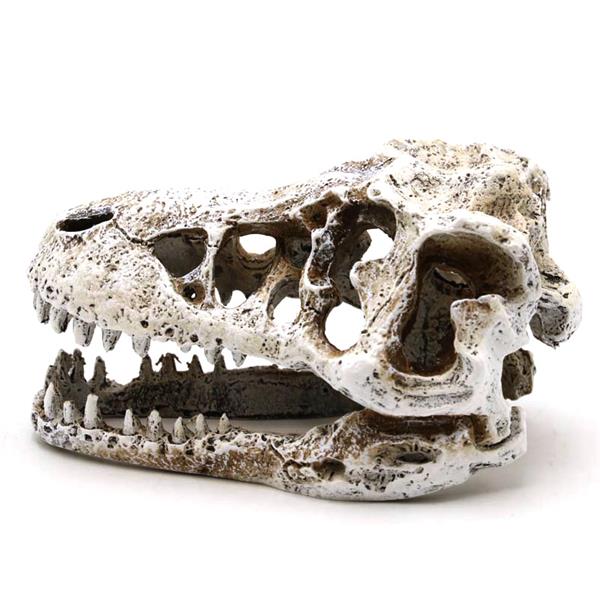 Grote foto prehistorische schedel 8cm aquariumdecoratie as 282 dieren en toebehoren vissenkommen