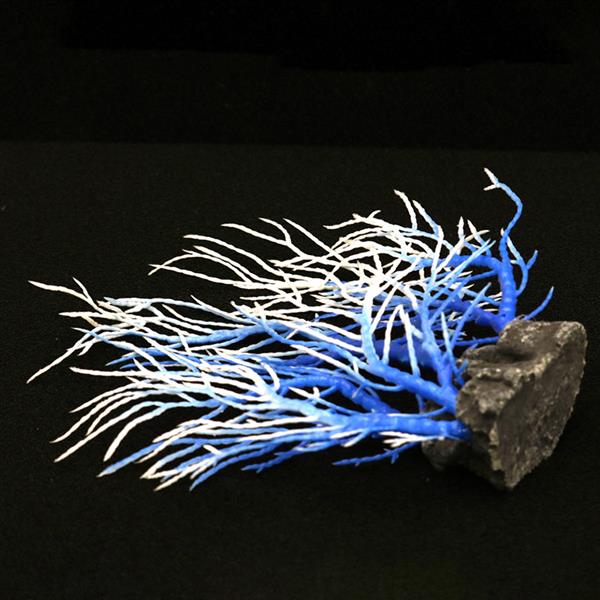 Grote foto aquariumdecoratie koraal blauw wit as 139 dieren en toebehoren vissenkommen