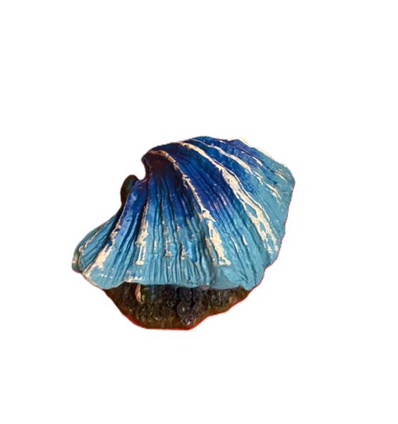 Grote foto schelp met luchtaansluiting blauw as 151 dieren en toebehoren vissenkommen