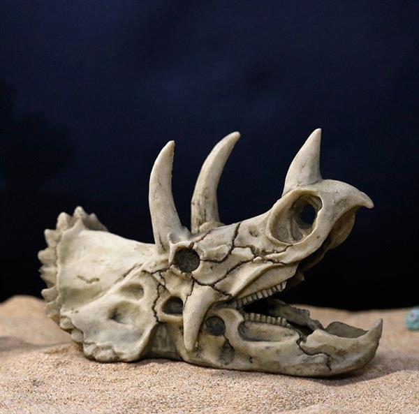 Grote foto prehistorische schedel aquarium decoratie 18 cm as 218 dieren en toebehoren vissenkommen