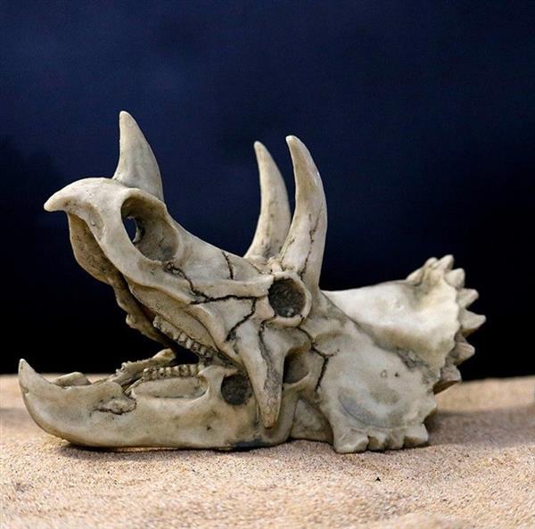 Grote foto prehistorische schedel aquarium decoratie 18 cm as 218 dieren en toebehoren vissenkommen