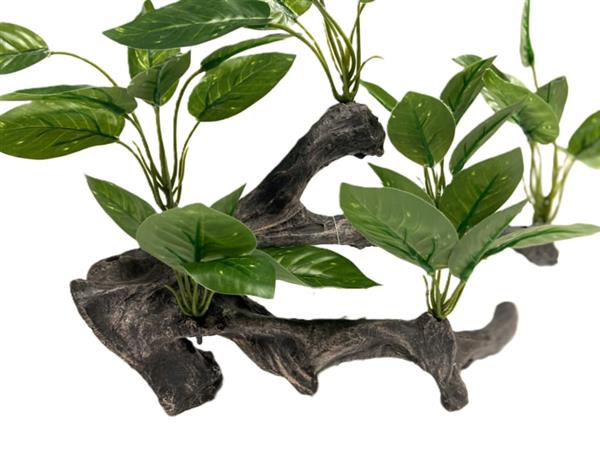 Grote foto kunstplanten op hout aquariumdecoratie as 226 dieren en toebehoren vissenkommen