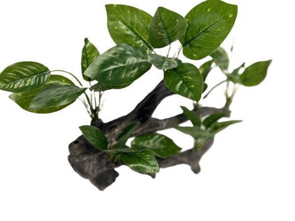 Grote foto kunstplanten op hout aquariumdecoratie as 226 dieren en toebehoren vissenkommen