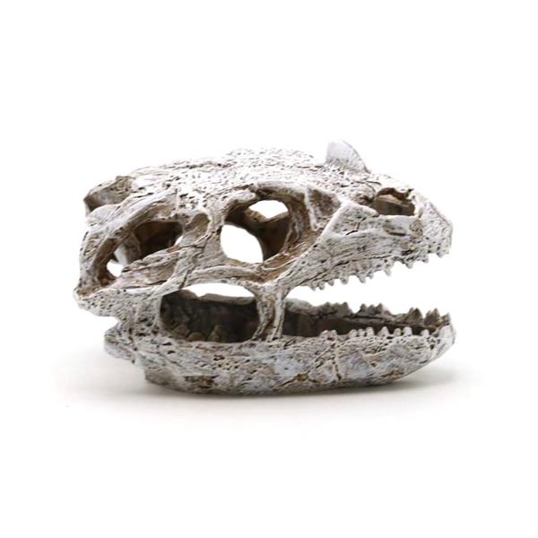 Grote foto prehistorische schedel 10 cm aquariumdecoratie as 280 dieren en toebehoren vissenkommen