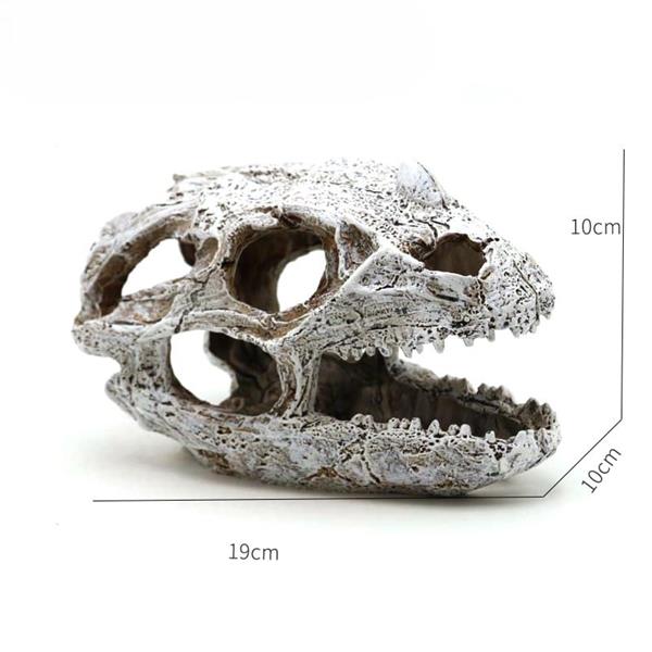 Grote foto prehistorische schedel 10 cm aquariumdecoratie as 280 dieren en toebehoren vissenkommen