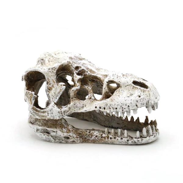 Grote foto prehistorische schedel 8cm aquariumdecoratie as 282 dieren en toebehoren vissenkommen