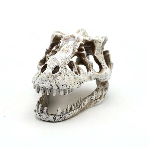 Grote foto prehistorische schedel 8cm aquariumdecoratie as 282 dieren en toebehoren vissenkommen
