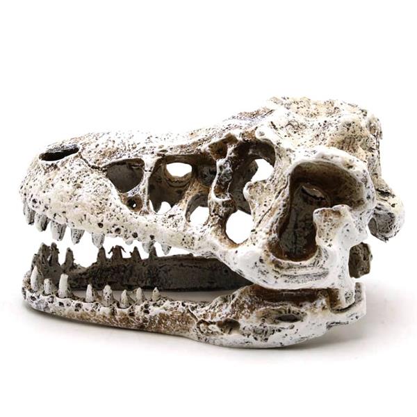 Grote foto prehistorische schedel 8cm aquariumdecoratie as 282 dieren en toebehoren vissenkommen