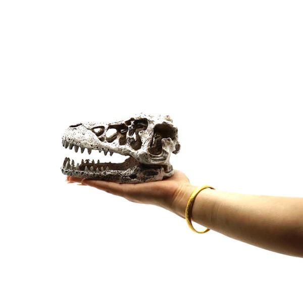 Grote foto prehistorische schedel 8cm aquariumdecoratie as 282 dieren en toebehoren vissenkommen