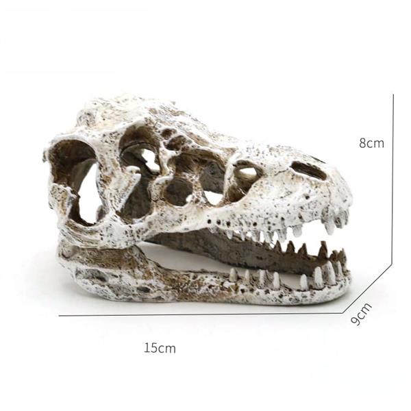 Grote foto prehistorische schedel 8cm aquariumdecoratie as 282 dieren en toebehoren vissenkommen