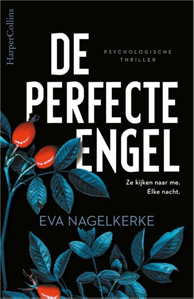 Grote foto de perfecte engel boeken thrillers