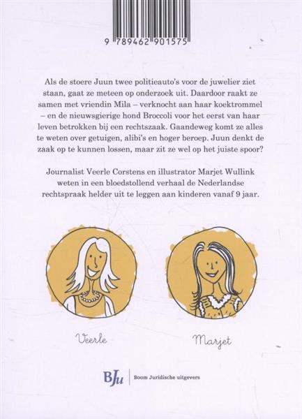 Grote foto met een klap van de hamer boeken jeugd 13 jaar en ouder