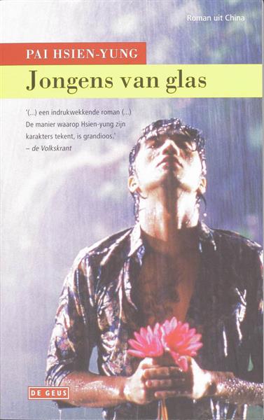 Grote foto jongens van glas boeken overige boeken
