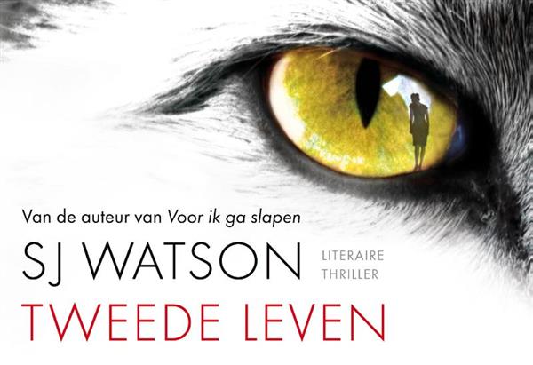 Grote foto tweede leven dwarsligger 338 boeken thrillers