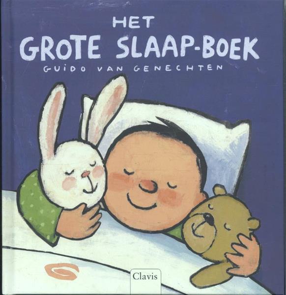 Grote foto het grote slaapboek boeken jeugd 13 jaar en ouder