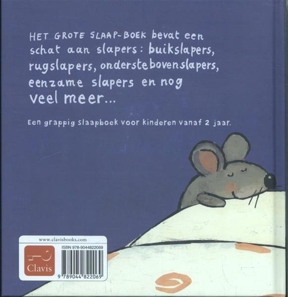 Grote foto het grote slaapboek boeken jeugd 13 jaar en ouder