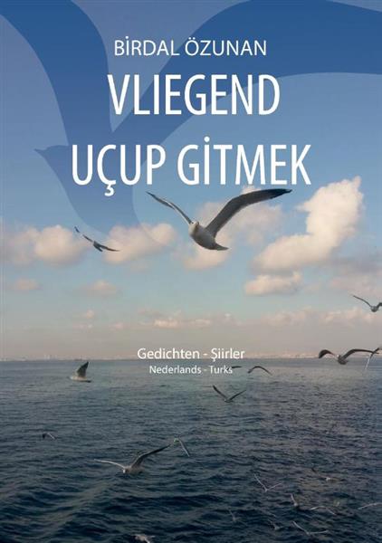 Grote foto vliegend u up gitmek boeken overige boeken