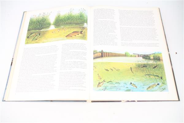 Grote foto sportvissen in nederland boek sport en fitness vissport